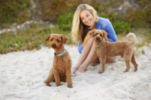 https://portkennedyvet.com.au/puppy-classes/5-reasons-join-puppy-training-class/